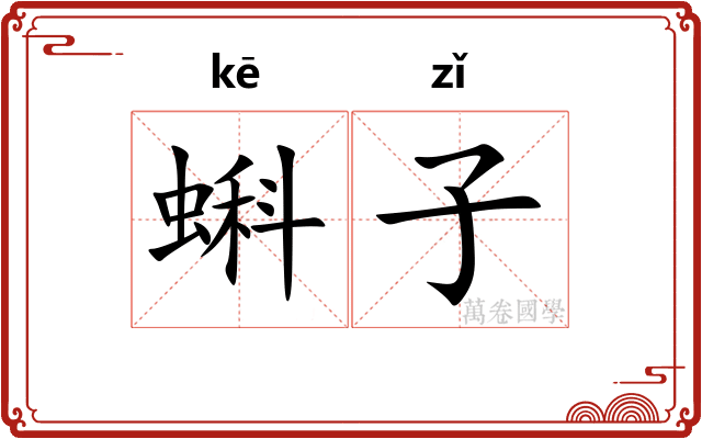 蝌子
