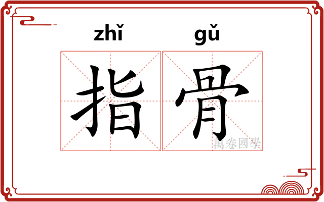 指骨 指骨