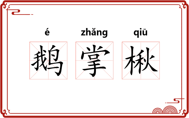 鹅掌楸