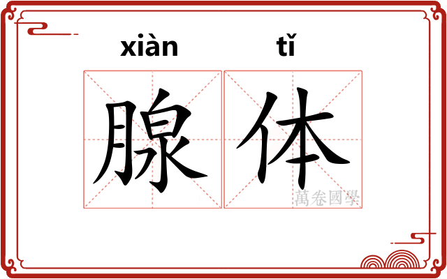 腺体