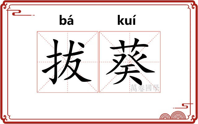 拔葵