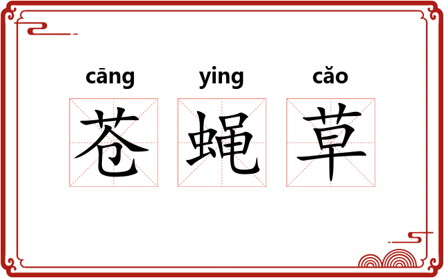 苍蝇草 苍蝇草