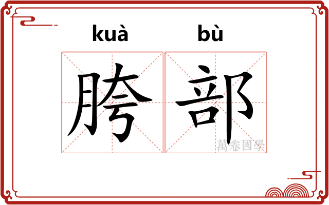 胯部