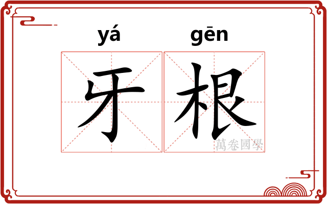 牙根