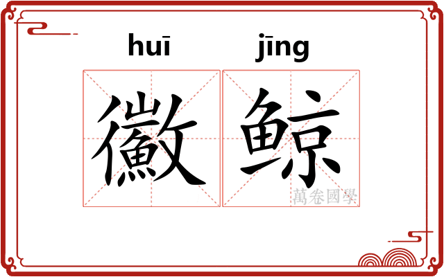 鰴鲸