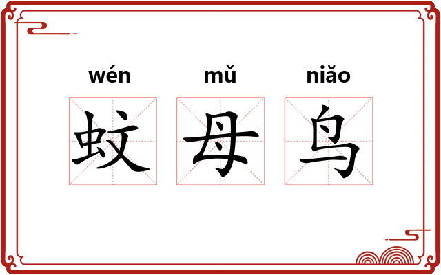 蚊母鸟