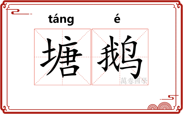 塘鹅