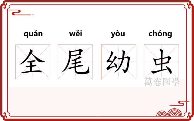 全尾幼虫