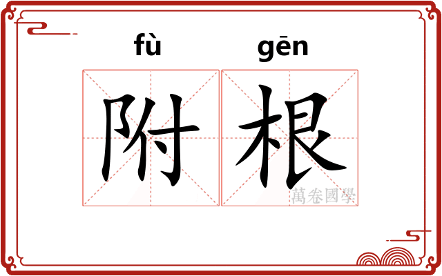 附根