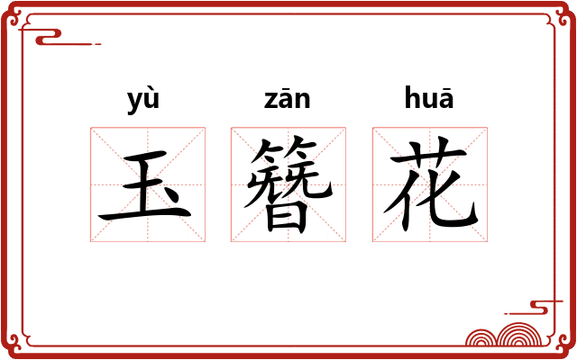 玉簪花