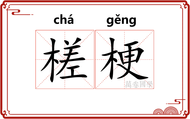 槎梗