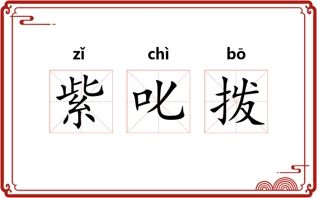 紫叱拨