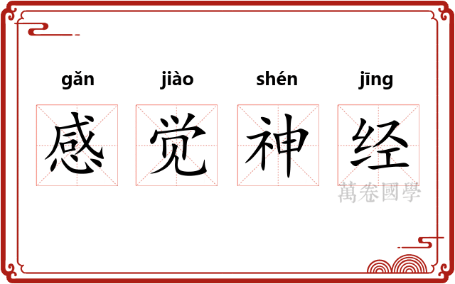 感觉神经
