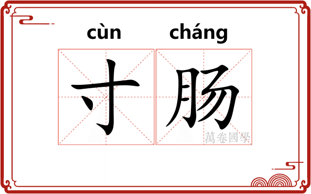 寸肠