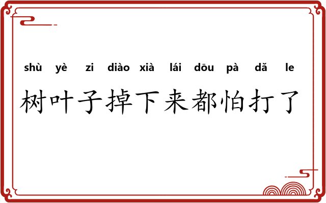 树叶子掉下来都怕打了头