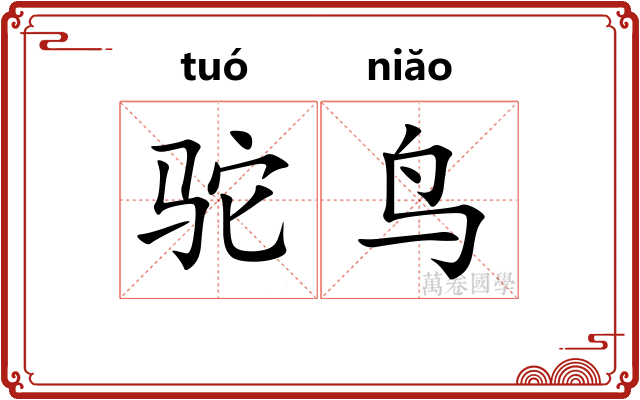 驼鸟