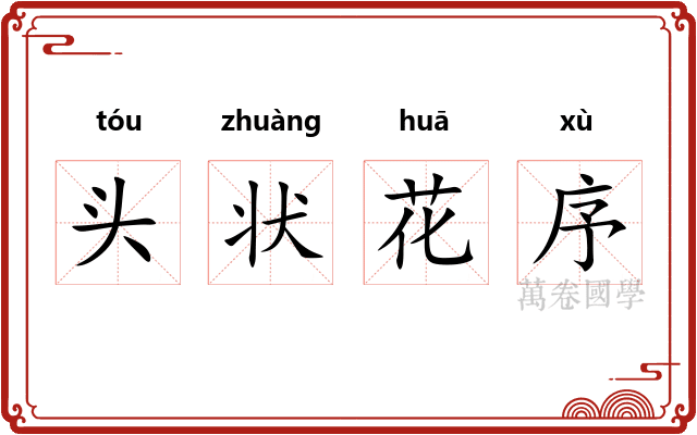 头状花序