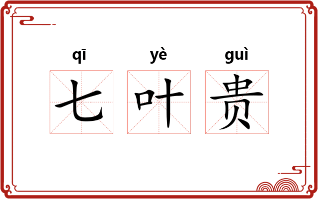 七叶贵