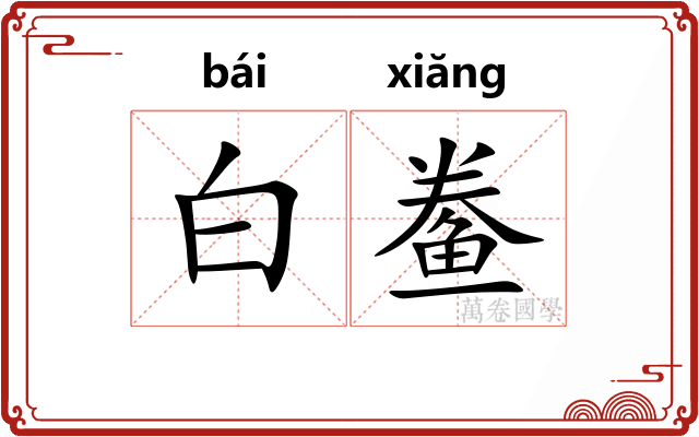 白鲞