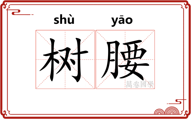 树腰