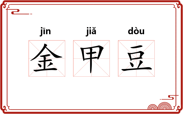金甲豆