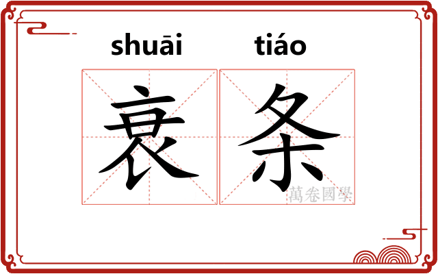 衰条