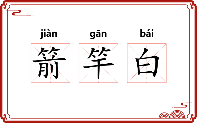箭竿白 箭竿白