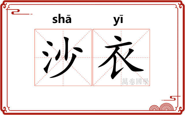 沙衣