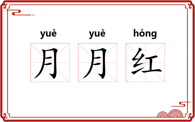 月月红 月月红