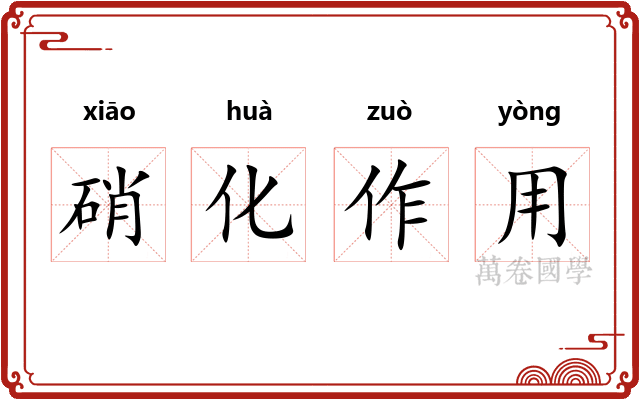 硝化作用