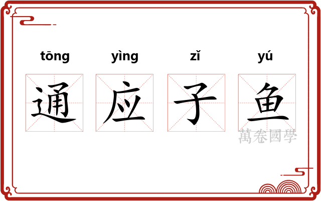 通应子鱼
