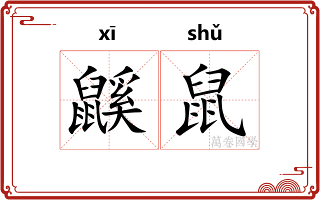 鼷鼠