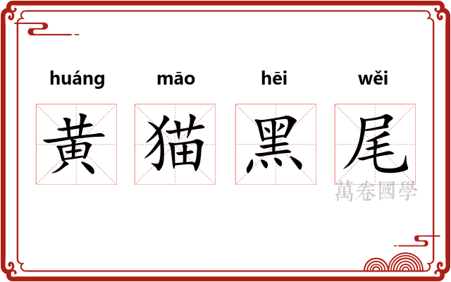黄猫黑尾