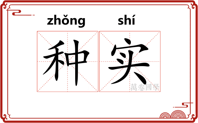 种实