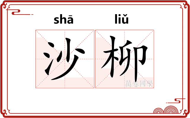 沙柳