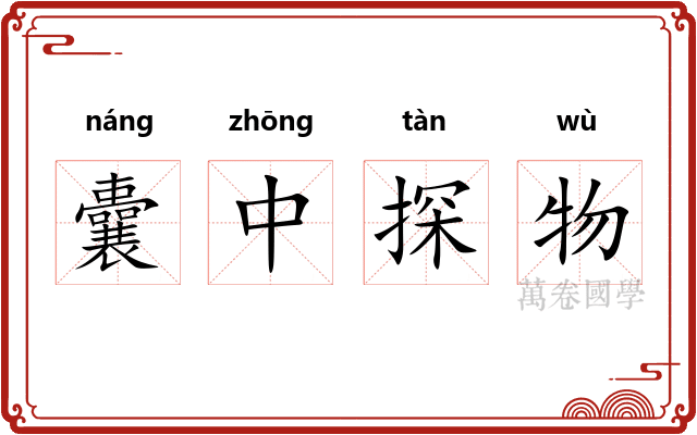 囊中探物