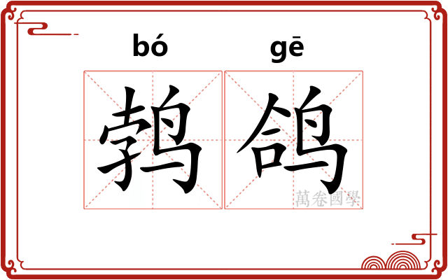 鹁鸽