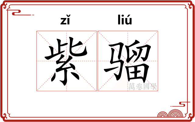 紫骝