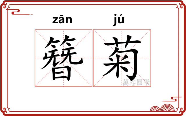 簪菊