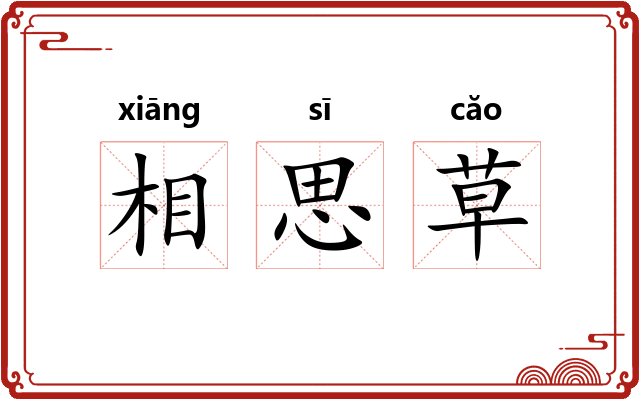 相思草 相思草