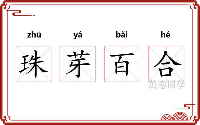 珠芽百合