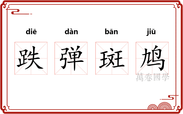 跌弹斑鸠 跌弹斑鸠
