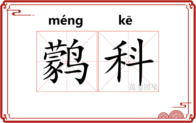 鹲科