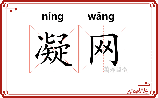 凝网