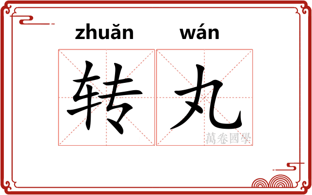 转丸 转丸