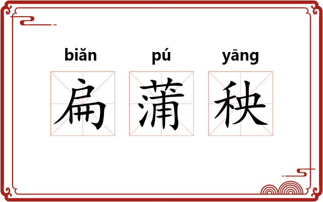 扁蒲秧 扁蒲秧