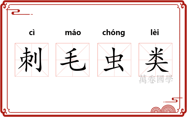 刺毛虫类