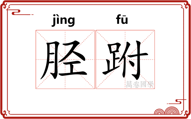 胫跗