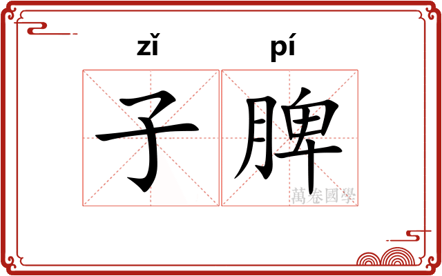 子脾