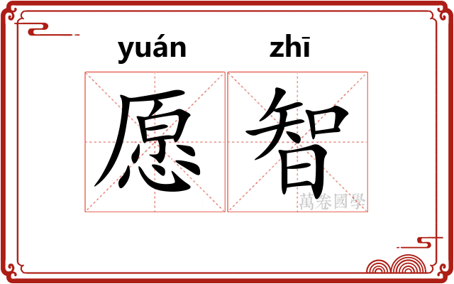 愿智
